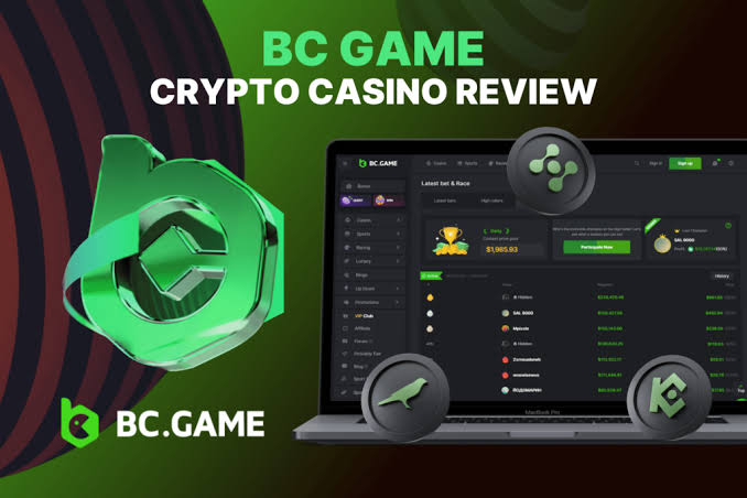 Step-by-Step Guide to BC.Game Mirror Registration Process 1703259803