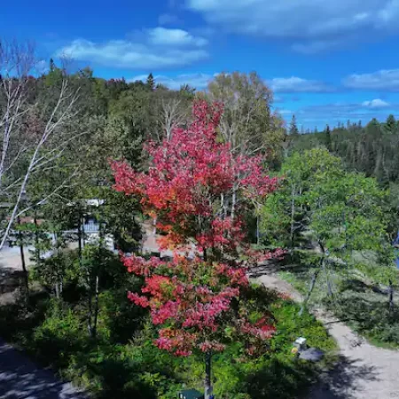 stunning fall colours muskoka