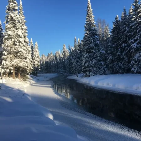 A winter playground for all your snow games and activities.