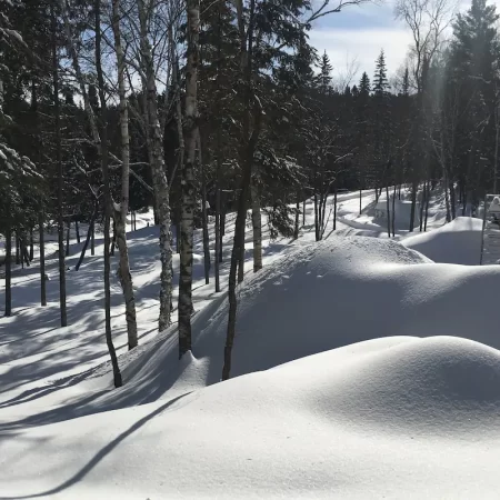 A winter playground in Muskoka for all your snow games and activities