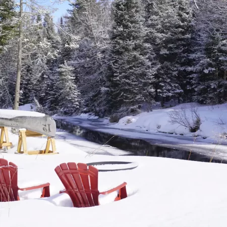 Beautiful Muskoka Snow Scene